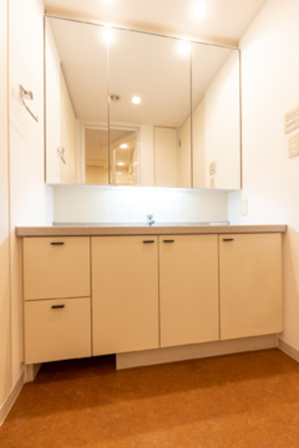 パークタワー芝浦ベイワード　オーシャンウイングの洗面所|※写真は同タイプ住戸です。