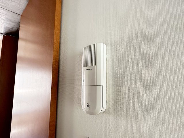 リドヴェールのセキュリティ