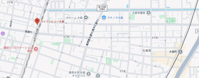 ★仲介手数料無料★ライフレビュー大森(リノベーション工事中）の地図