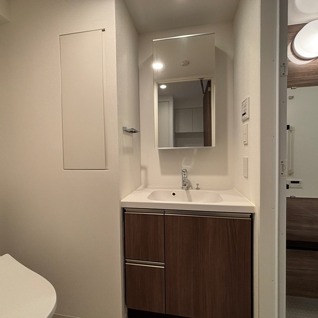 パークアクシス品川天王洲アイルの洗面所|※写真は同タイプ住戸です。