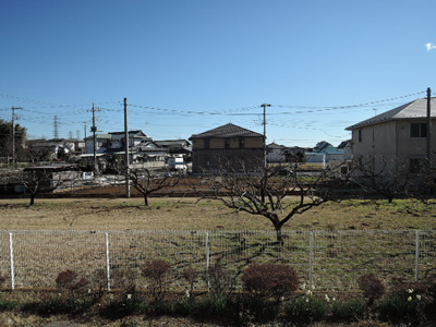 窓からの景色です