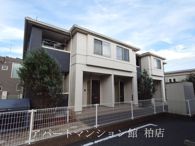 フェリシア　アメロイダス