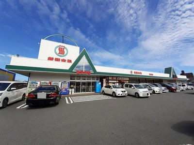 【周辺】 | リデアル三川　Ｂ | 新鮮市場　花高松店まで1300m