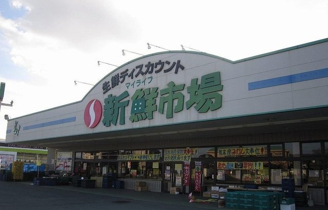 エルフィン　五番館の周辺|新鮮市場　菊池店まで2200m