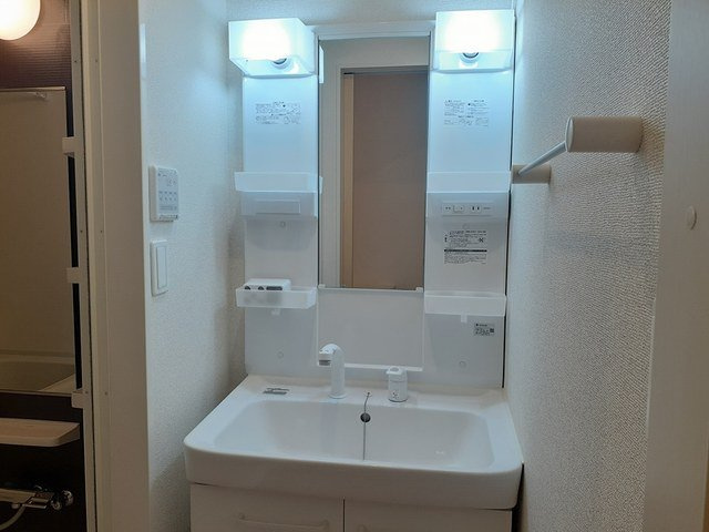 ア・ピアチェーレⅠの洗面所