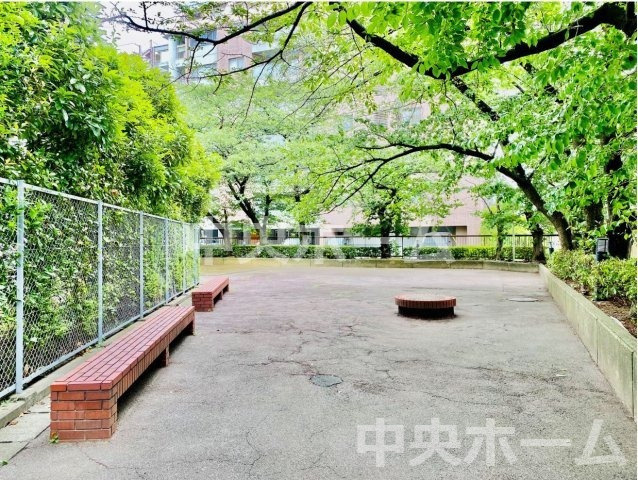 白鳥スカイマンションの中庭|敷地内には緑が多く住環境良好です
