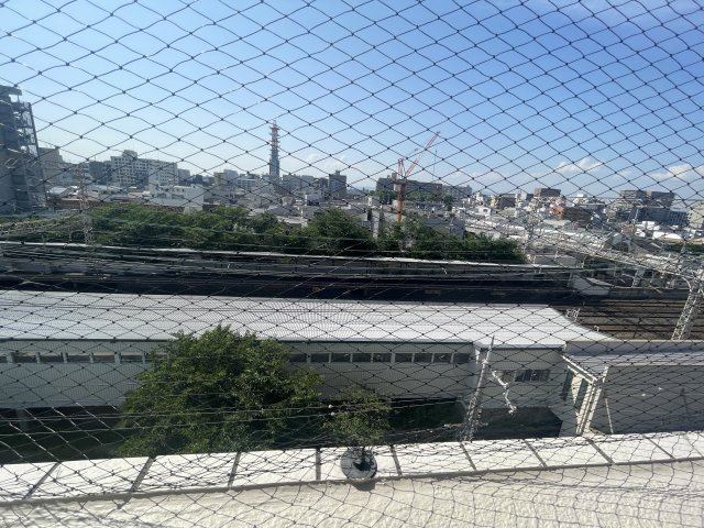 ＣＡＳＡＲＯＳＥＨＩＬＬの展望