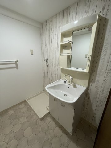 ドリーム菊水の洗面所