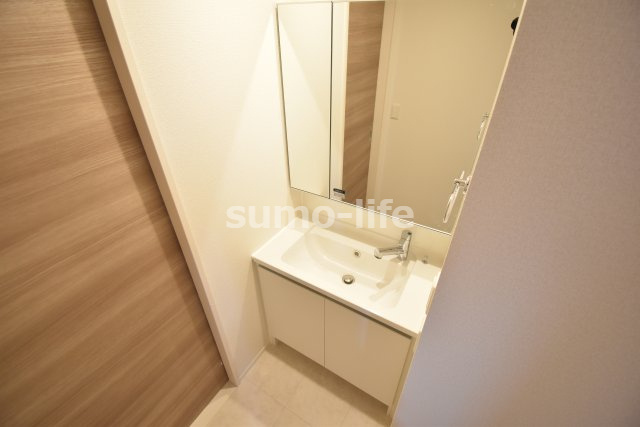 D-room塚口本町の洗面所