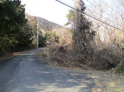 広島市佐伯区湯来町大字伏谷字倉谷　土地の前面道路含む現地写真