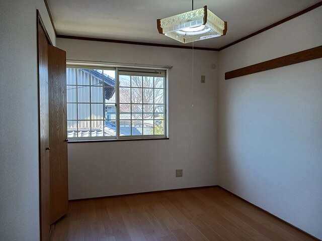 プリマヴェーラⅡの内装