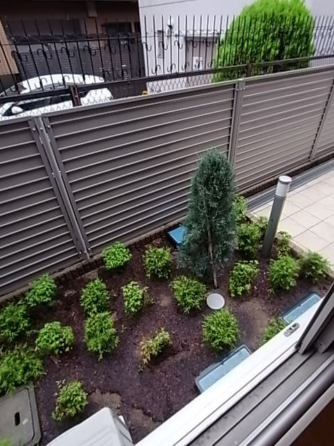 カーサミーア二葉町の展望