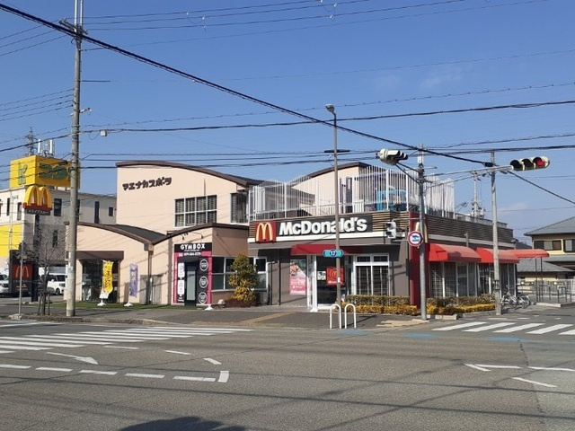 フリージア　ヒルのその他
