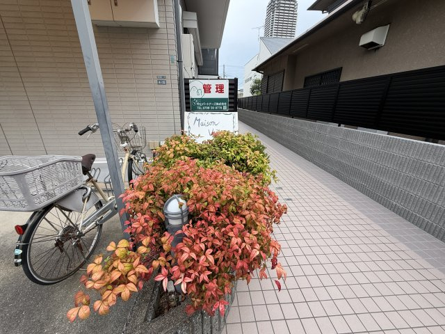 メゾン・ヴィオレットのエントランス