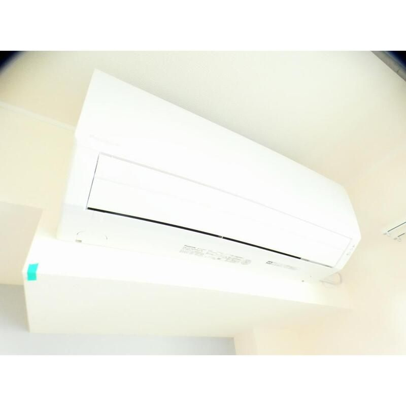 フォレスト　ベベのその他