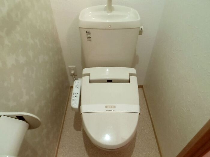 ガイアのトイレ