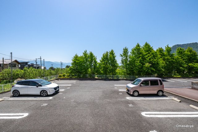 サンライズ瑞樹の展望