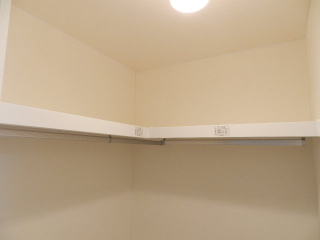 セントポプラのその他