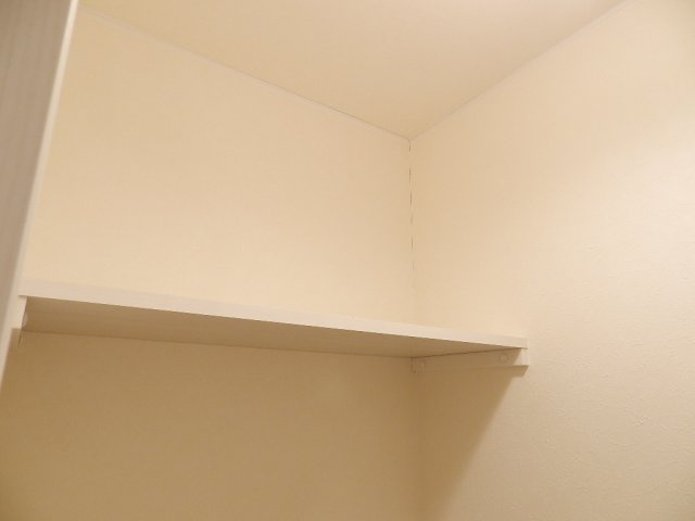 セントポプラの収納