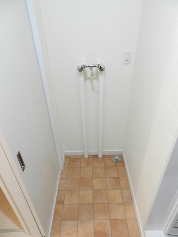 セントポプラのその他