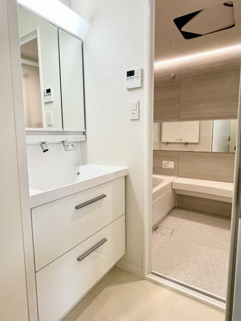 川崎市多摩区西生田３丁目の賃貸マンションの洗面所