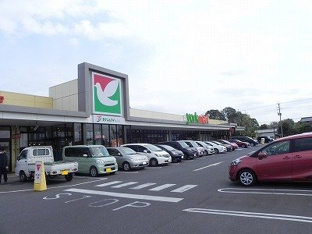 ヨークマート柏の葉公園店まで1000m