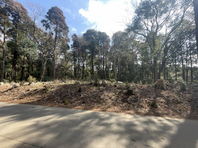 【外観】 | 中野町土地