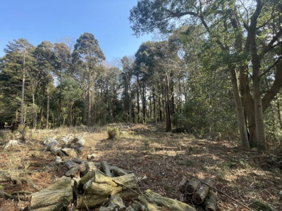 【外観】 | 中野町土地
