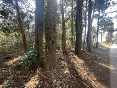 【外観】 | 中野町土地