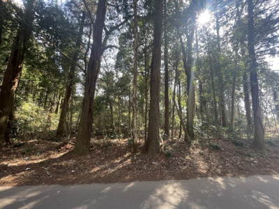 【外観】 | 中野町土地