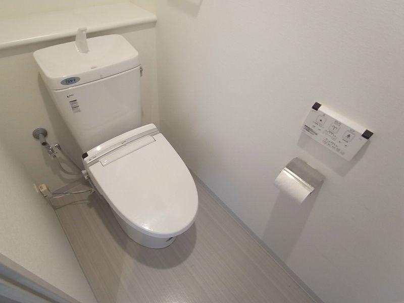 椿のトイレ