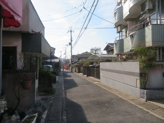 エクセレントのその他|前道