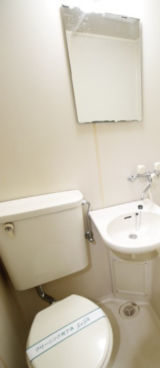 リュ・プラタンの洗面所