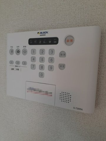 グランシュテルのセキュリティ