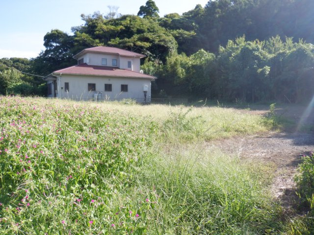 千倉土地