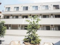 Ｃｏｕｒｔ　Ｐｉｎｅｔａｉｌ（コートパインテール）の画像