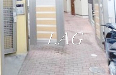 【エントランス】 | スカイレジデンス向島 | エントランスです。