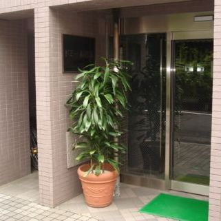 【エントランス】 | ドミール蔵前 | 落ち着いたエントランスです