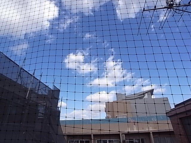 アベリア壱番館の展望