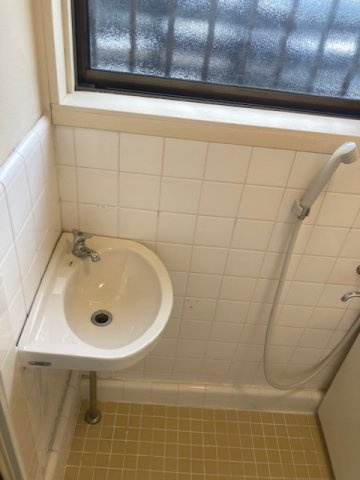 ハイムエムティの洗面所