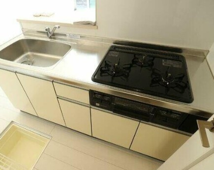 ＧＲＡＣＥ　ＦＬＯＲＡ　２１のキッチン