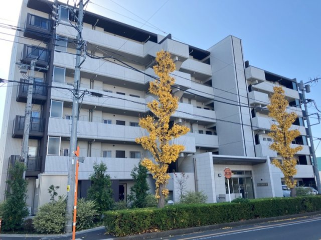 ベルドゥムール草加金明通り