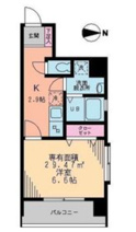 クレアーレの画像