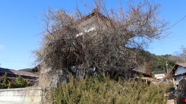 【中古】社松崎の庭