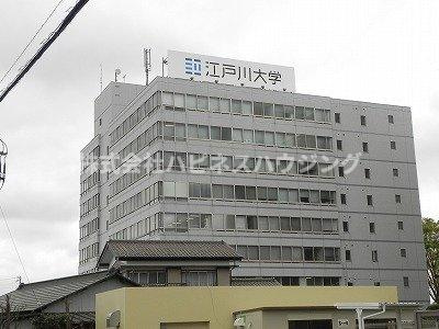 マイルドの周辺|江戸川大学まで350m