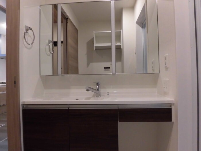 D－ROOM清水新地の洗面所