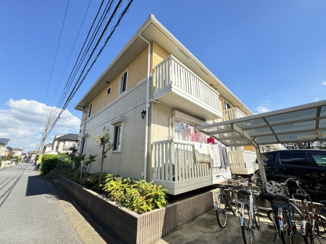 オベルジーヌ　Ｂのその他