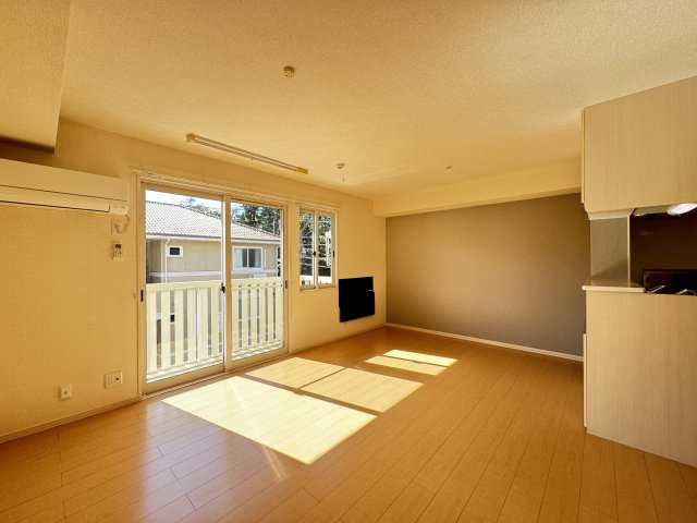 オベルジーヌ　Ｂのその他