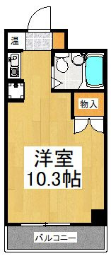ヘリオス３７８国分寺の間取り