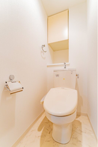 練馬区豊玉北４丁目の賃貸マンションのトイレ